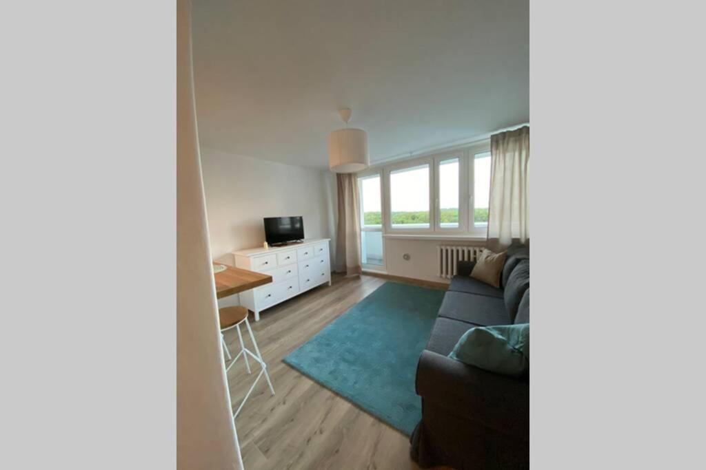 Modern Studio Apartment At Park&Stadium Near City Center Katowice Extérieur photo