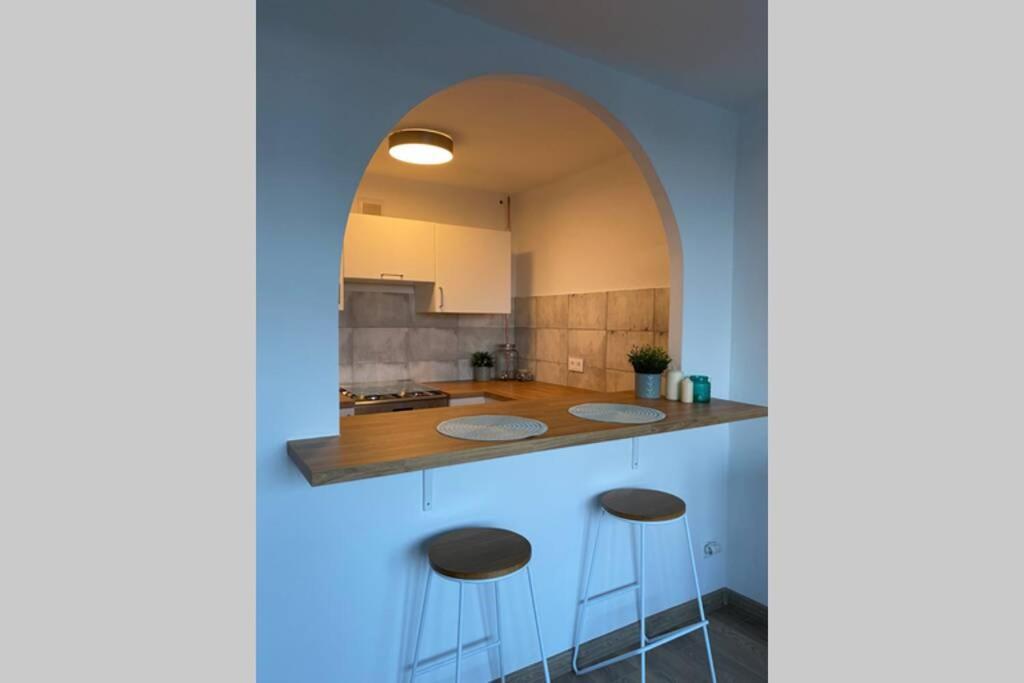 Modern Studio Apartment At Park&Stadium Near City Center Katowice Extérieur photo
